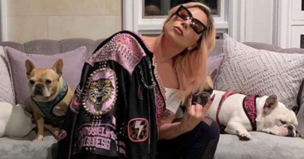 Lady Gaga in ansia: mentre lei è a Roma per girare un film, a  Los Angeles due dei suoi adorati cani vengono rapiti
